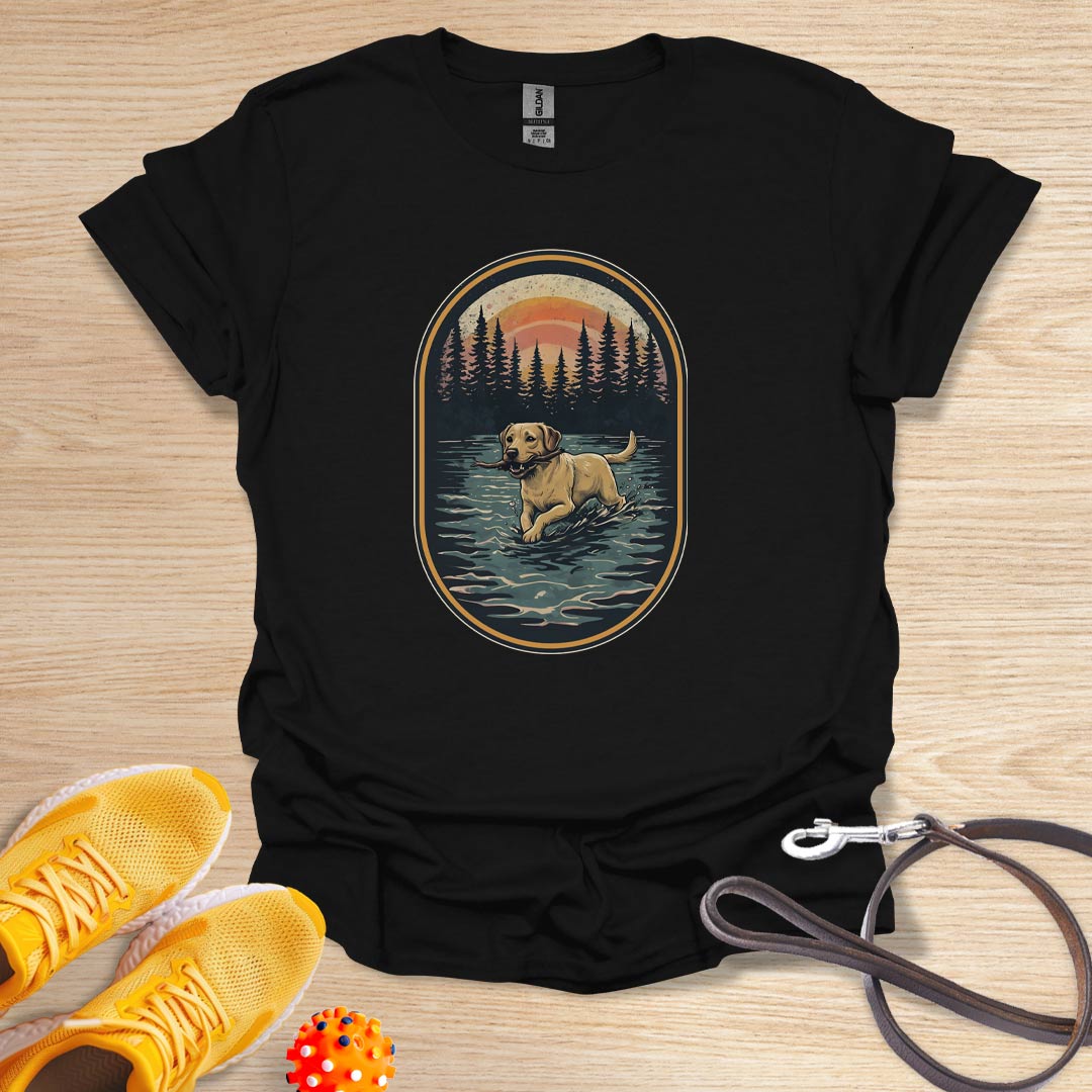 Lab in the Wild