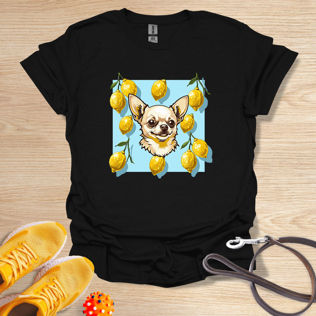 Lemon Chihuahua