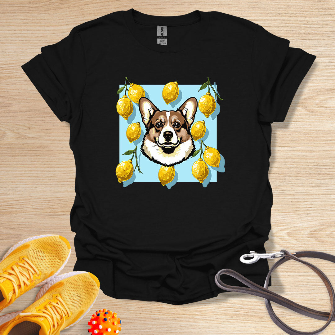 Lemon Corgi