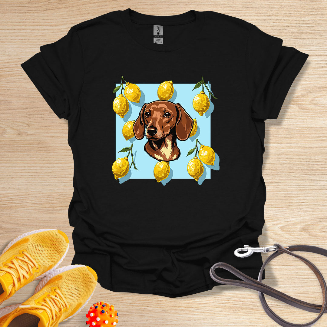 Lemon Doxie