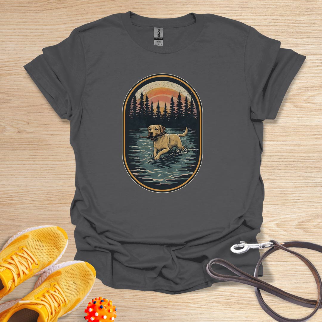 Lab in the Wild