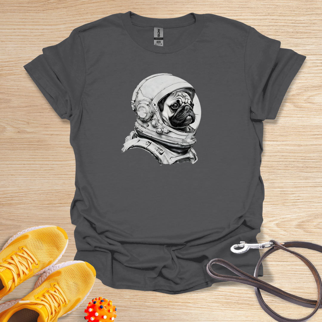 Pugs in Space