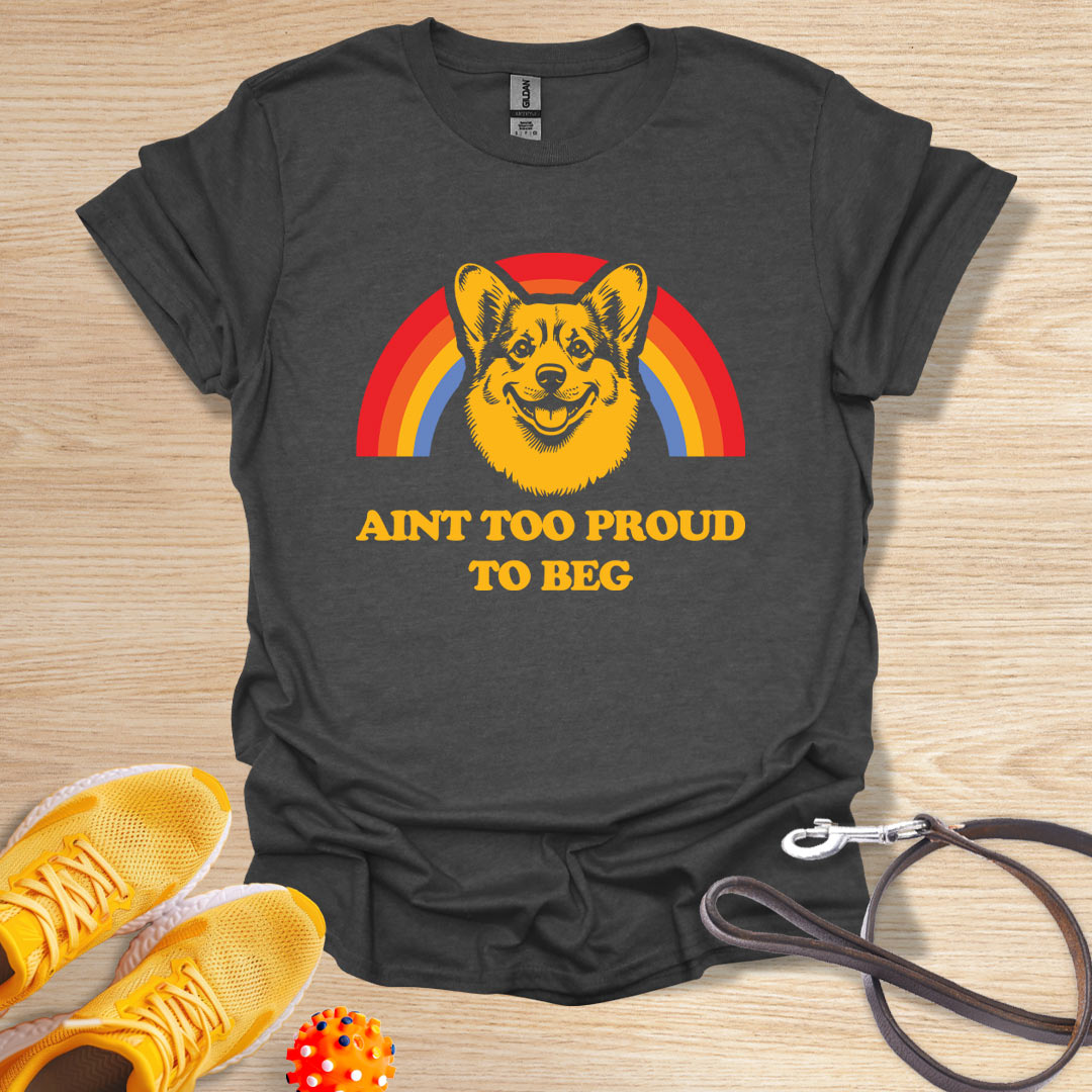 Aint too Proud to Beg - Corgie