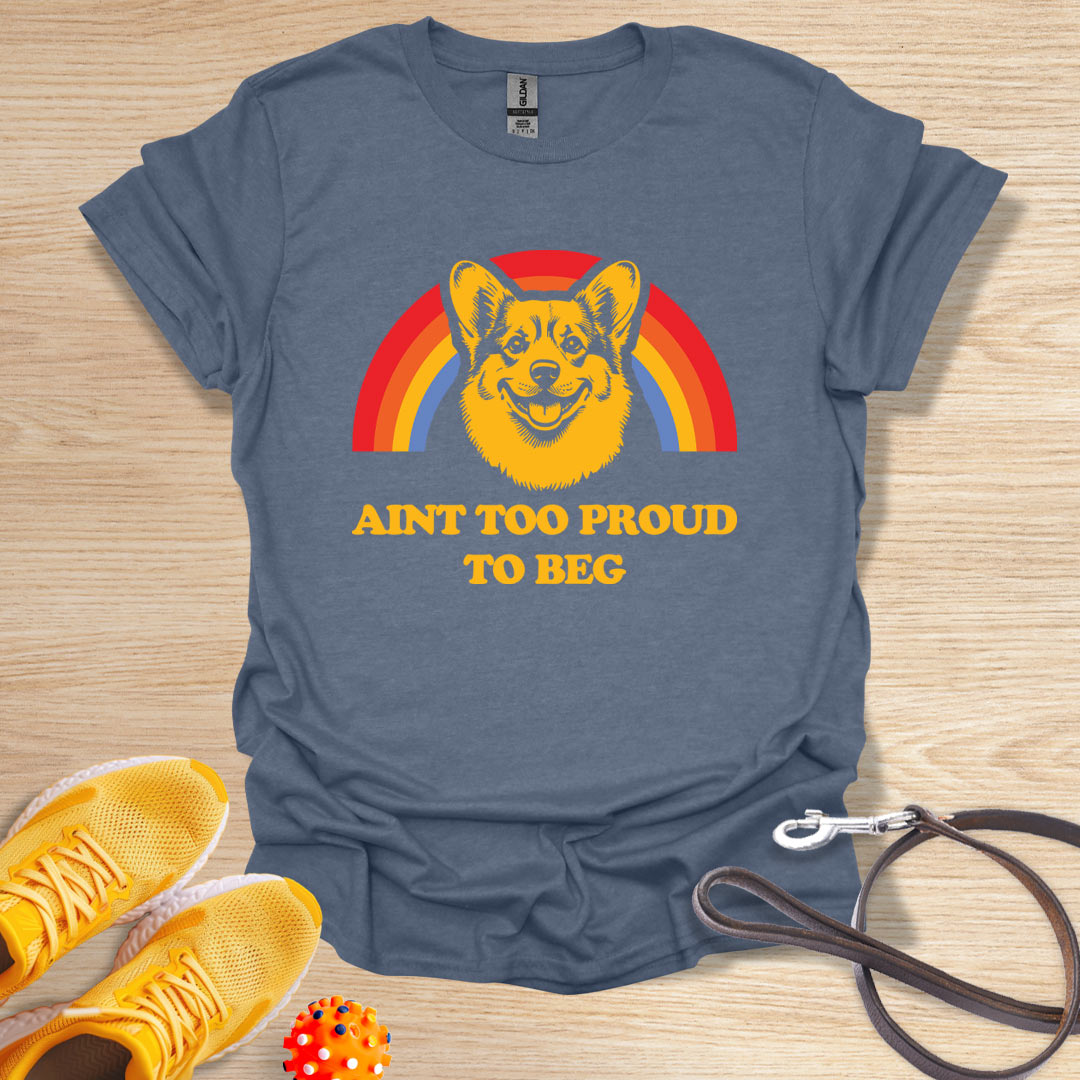Aint too Proud to Beg - Corgie