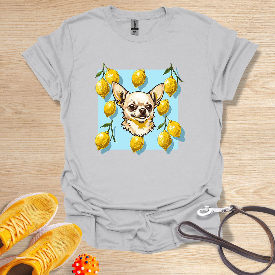 Lemon Chihuahua