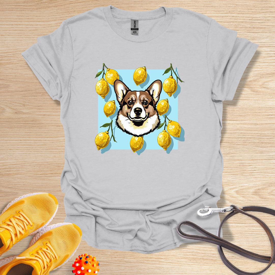 Lemon Corgi