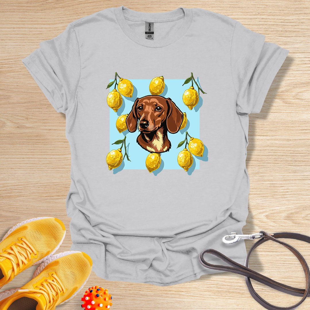 Lemon Doxie