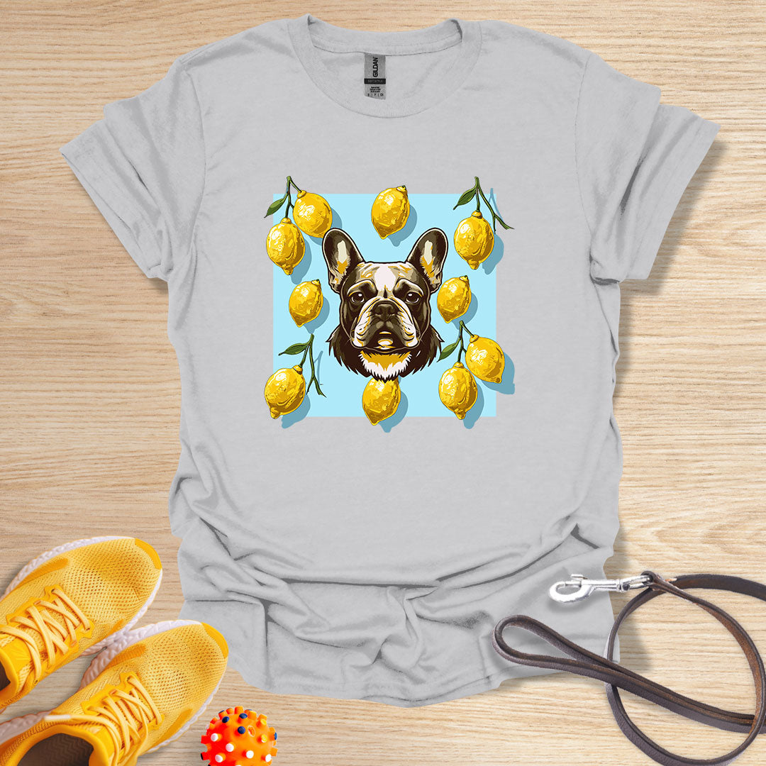 Lemon Frenchie