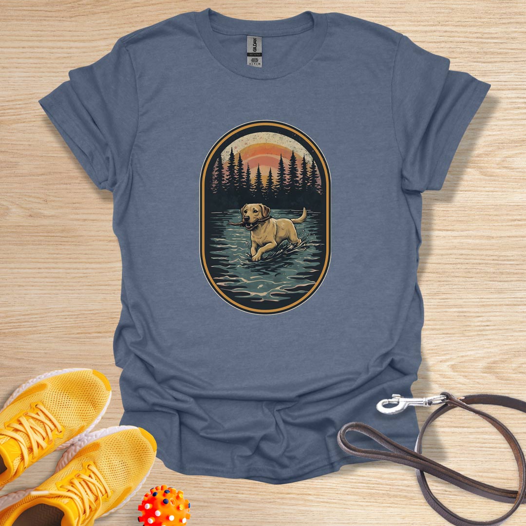 Lab in the Wild