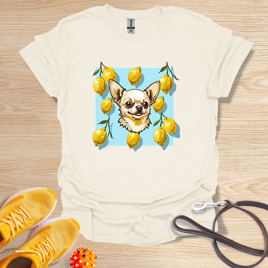 Lemon Chihuahua