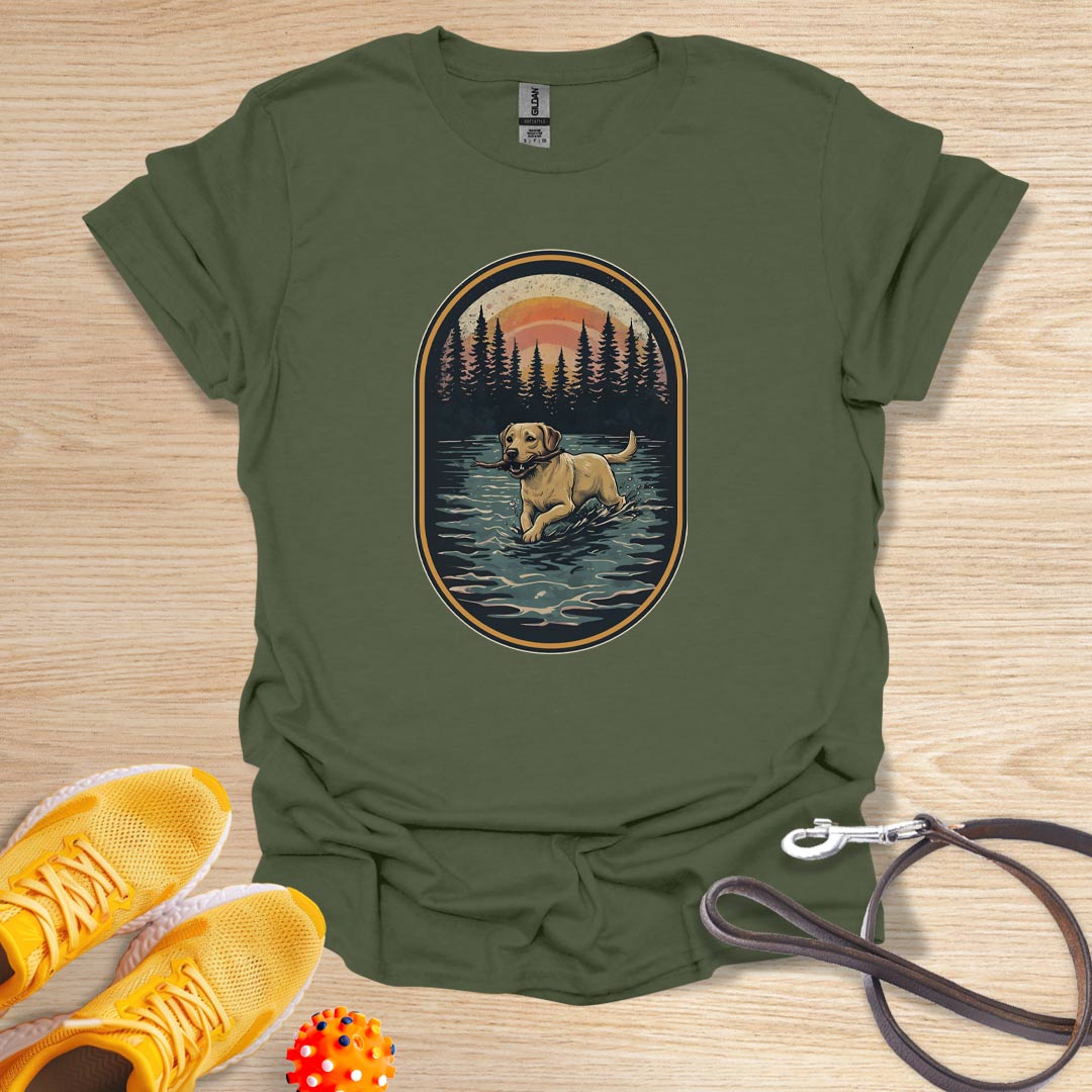 Lab in the Wild