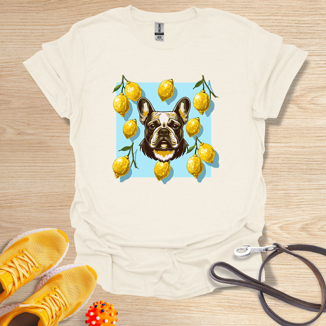Lemon Frenchie