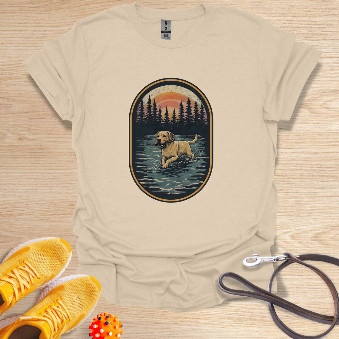 Lab in the Wild