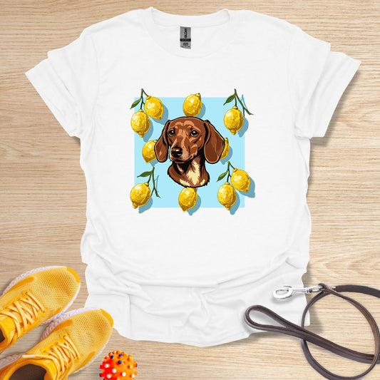 Lemon Doxie