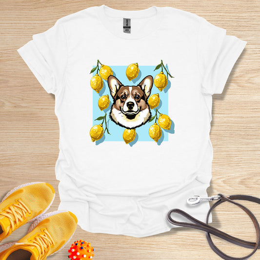 Lemon Corgi